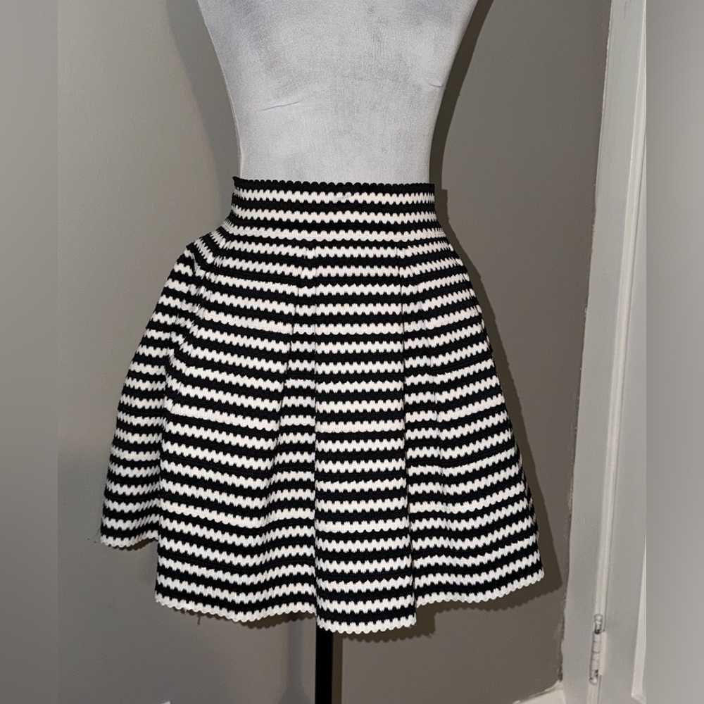 Express Black and White A-Line Skirt